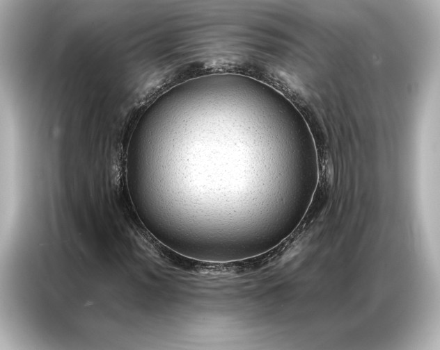 X0000086891012200704300952