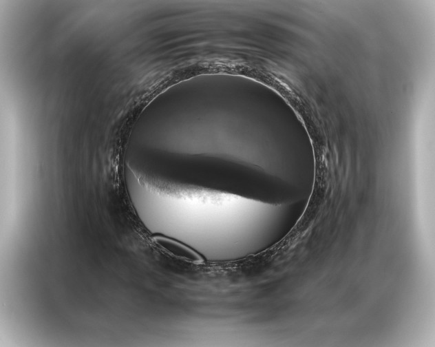 X0000086891013200704300952