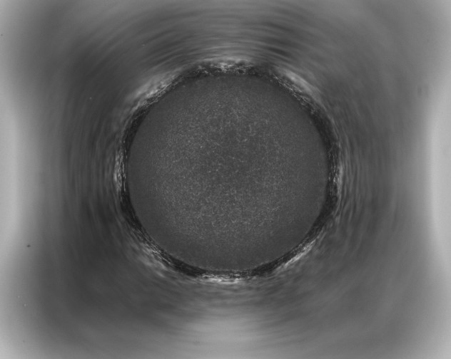 X0000086891014200704300952