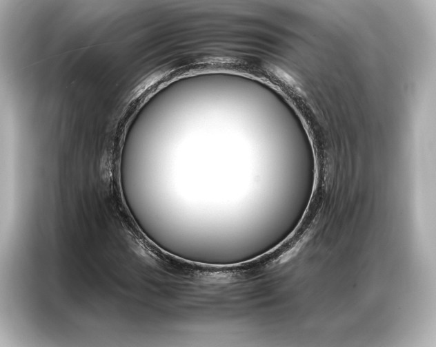 X0000086891017200704300952