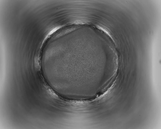 X0000086891018200704300952