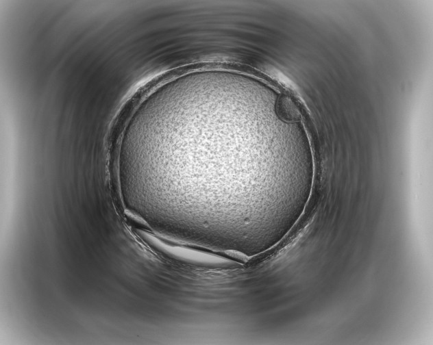 X0000086891019200704300952