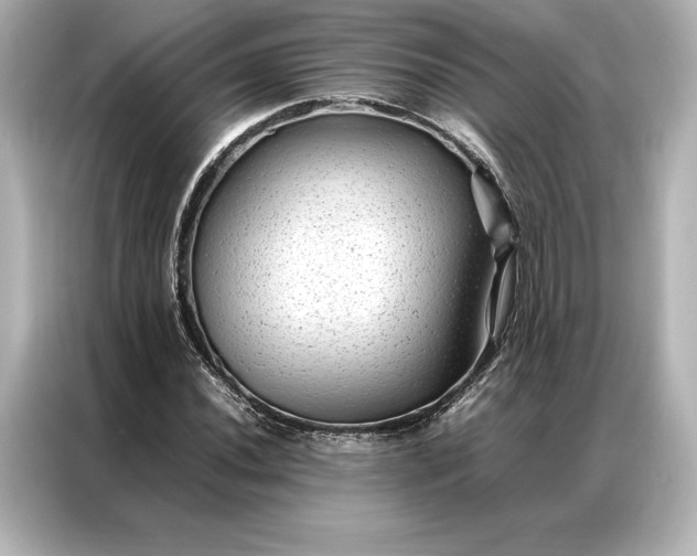 X0000086891020200704300952