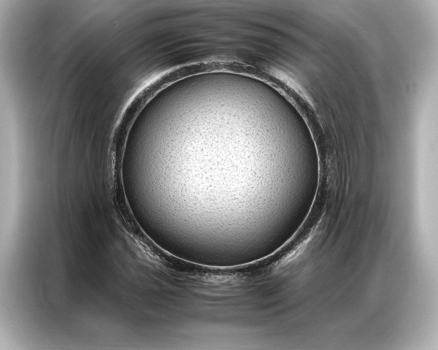 X0000086891021200704300952