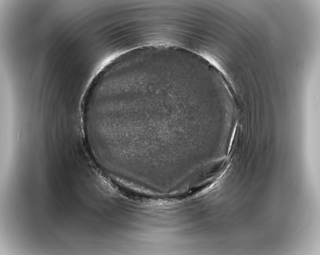 X0000086891022200704300952