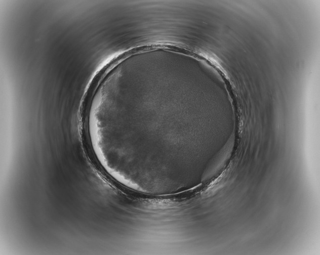 X0000086891024200704300952