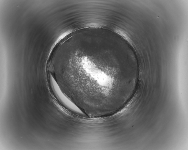 X0000086891026200704300952