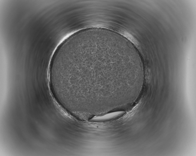 X0000086891028200704300952