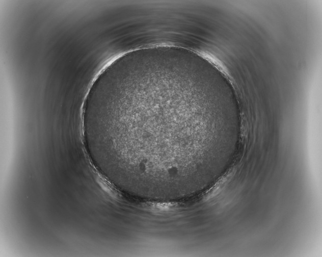 X0000086891031200704300953