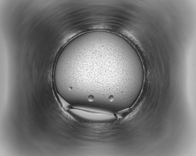 X0000086891033200704300953