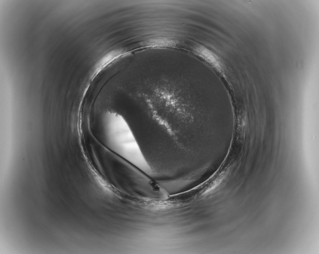 X0000086891034200704300953