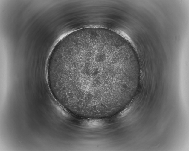 X0000086891035200704300953