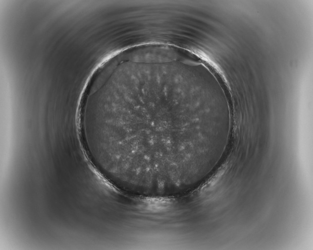 X0000086891037200704300953