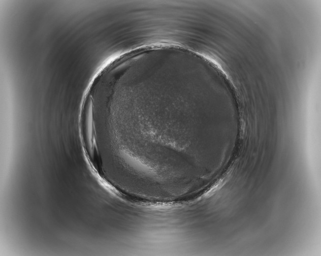 X0000086891038200704300953