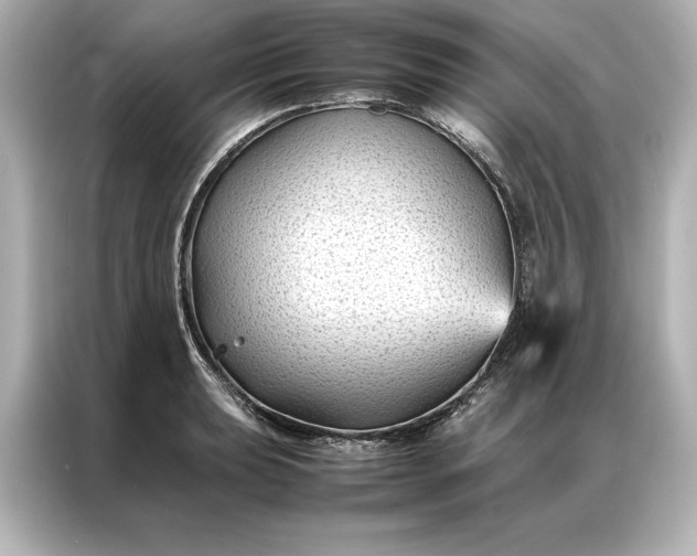 X0000086891039200704300953