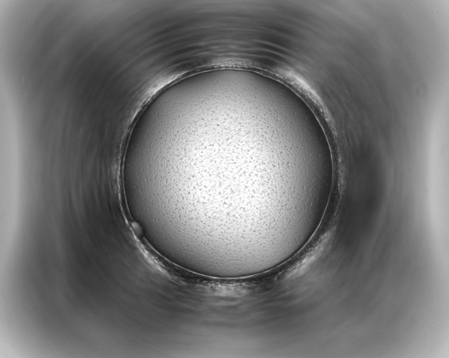 X0000086891041200704300953