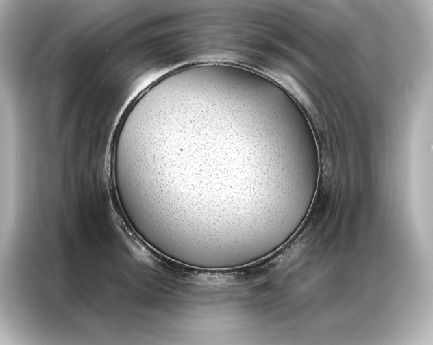 X0000086891044200704300953