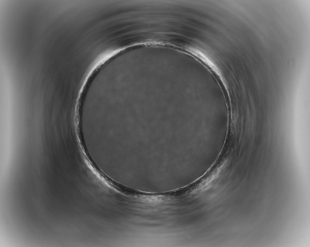 X0000086891045200704300953