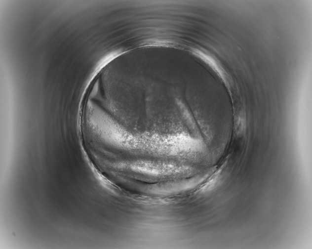 X0000086891050200704300953