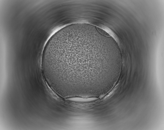 X0000086891052200704300953