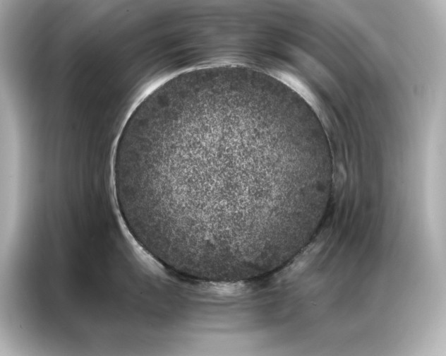 X0000086891055200704300953