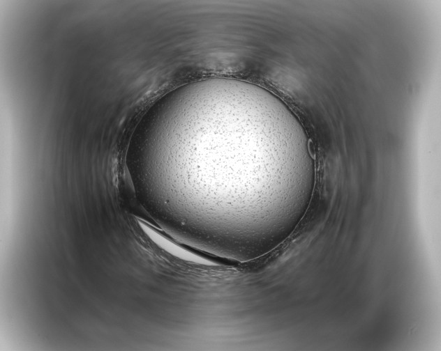 X0000086891058200704300952