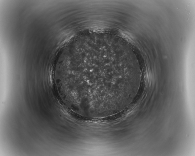 X0000086891060200704300952