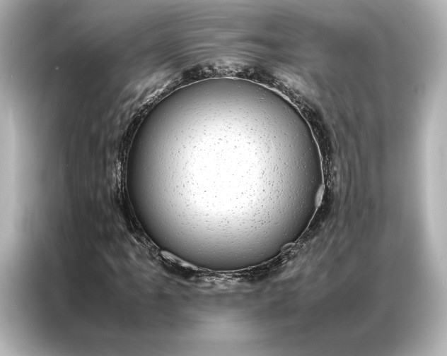 X0000086891061200704300952