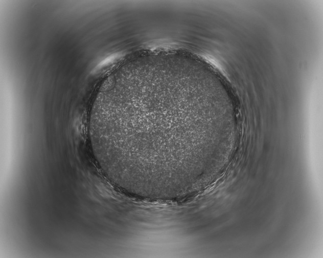 X0000086891063200704300952