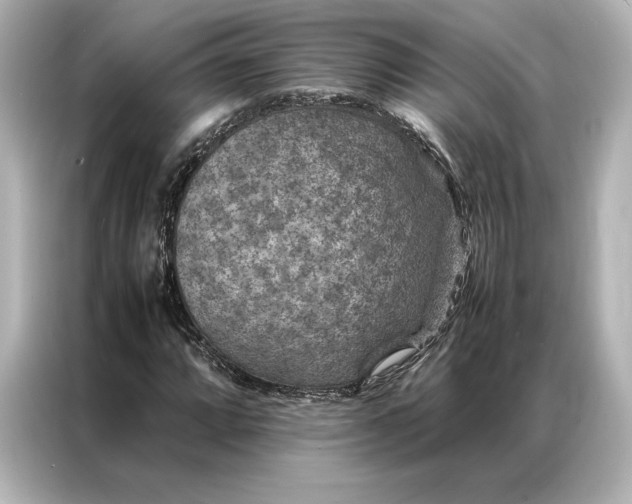 X0000086891064200704300952