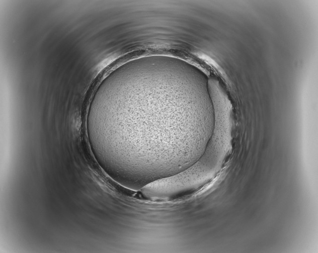 X0000086891065200704300952