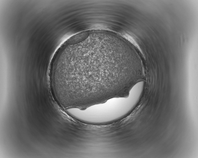 X0000086891068200704300952