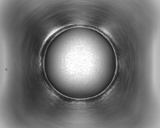 X0000086891070200704300952