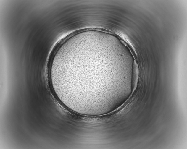 X0000086891072200704300952