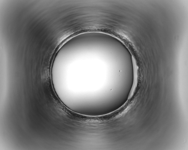 X0000086891073200704300952