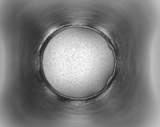 X0000086891075200704300952