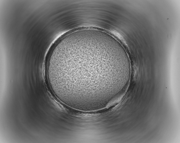 X0000086891076200704300952