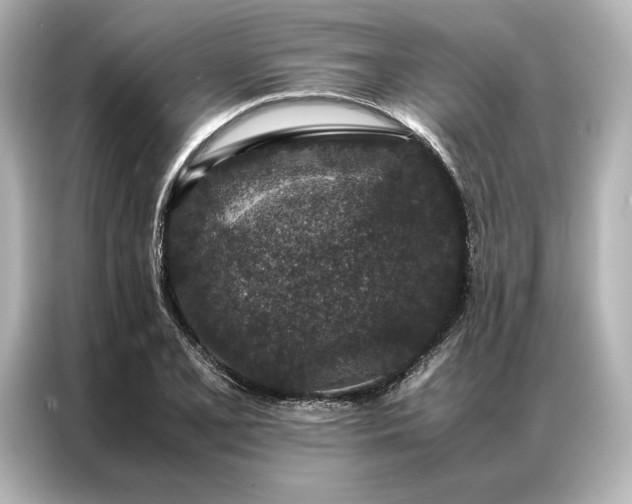 X0000086891077200704300952