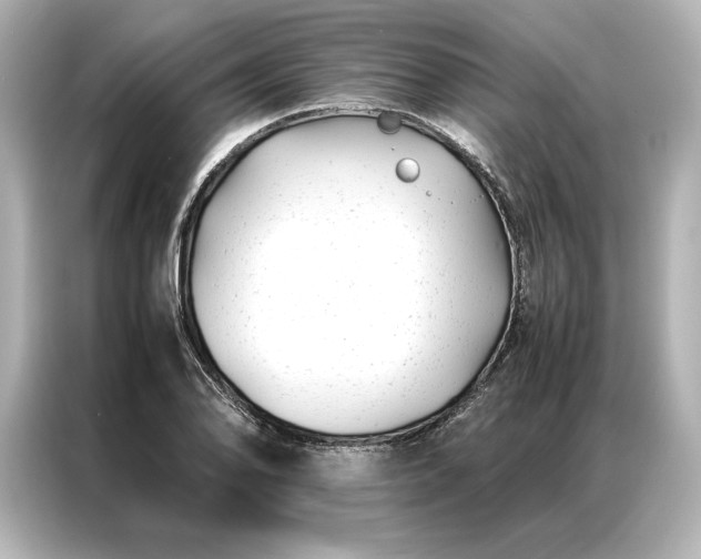 X0000086891078200704300952