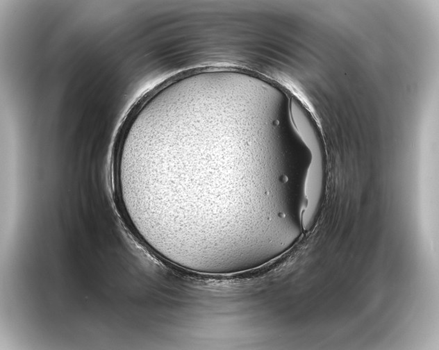 X0000086891080200704300952