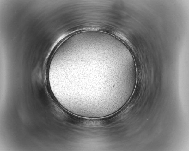 X0000086891083200704300952