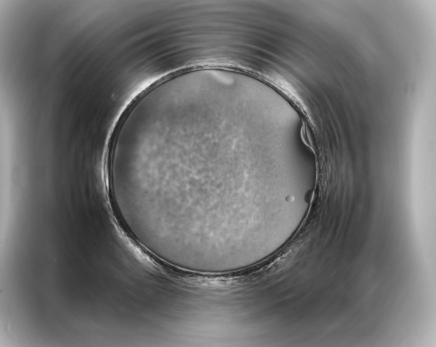 X0000086891084200704300952