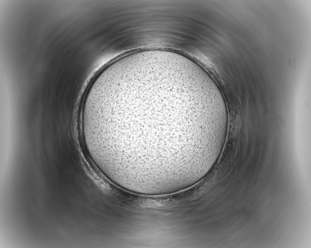 X0000086891086200704300952