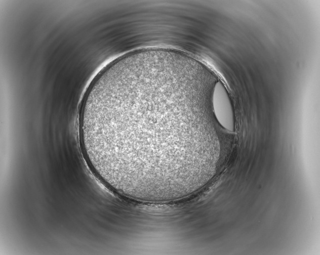 X0000086891092200704300952