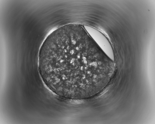 X0000086891095200704300952