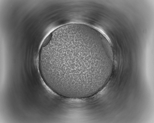 X0000086891100200704300952