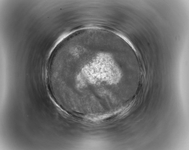 X0000086891101200704300952