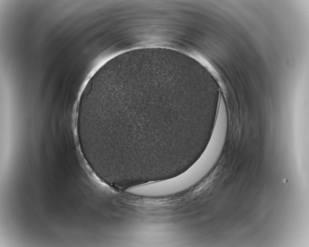 X0000086891102200704300952