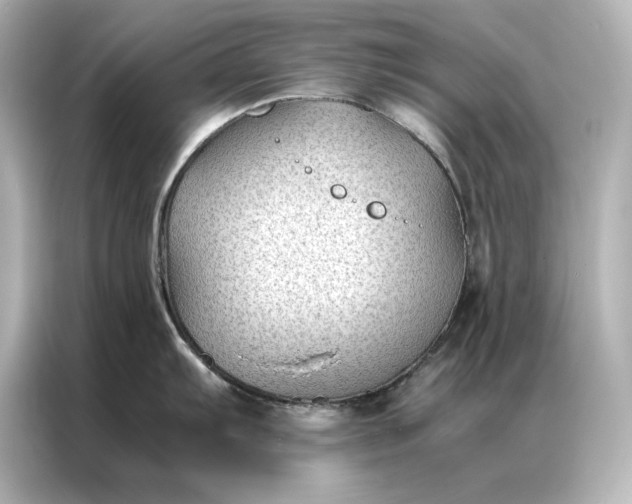 X0000086891103200704300952