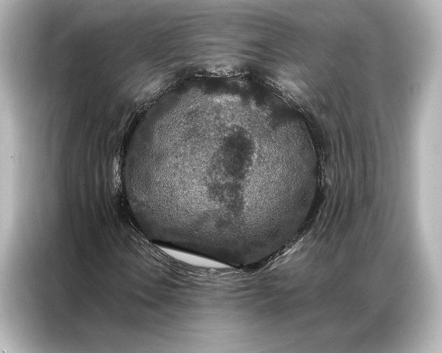 X0000086891106200704300951